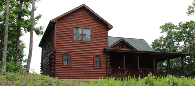 Professional Log Home Borate Application  Fulton County, Georgia